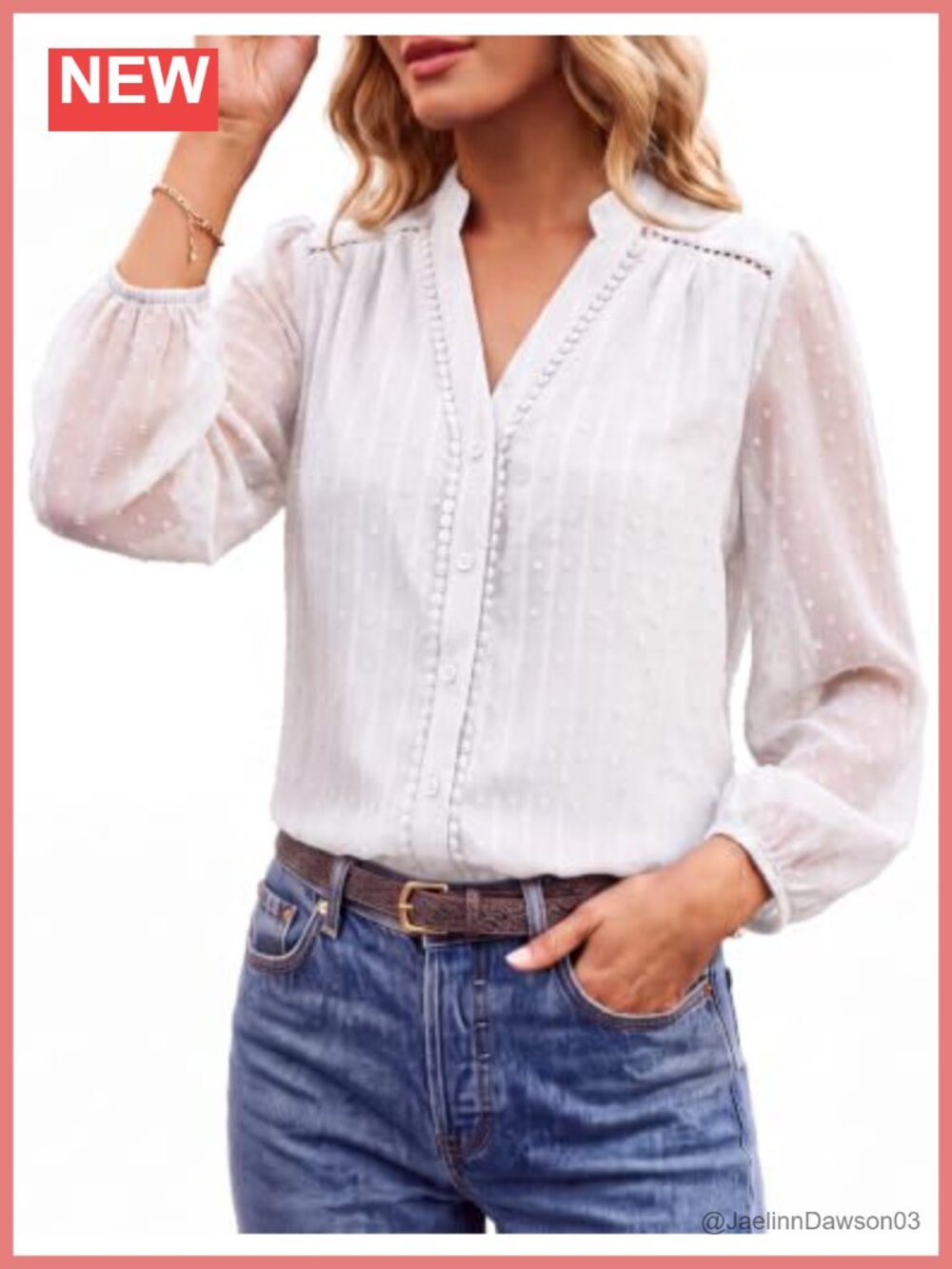 Swiss Dot V-Neck Lace Blouse Button Down Long Sleeve Business Casual